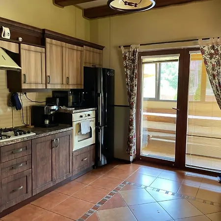 House By The River Polyana (Transcarpathia)